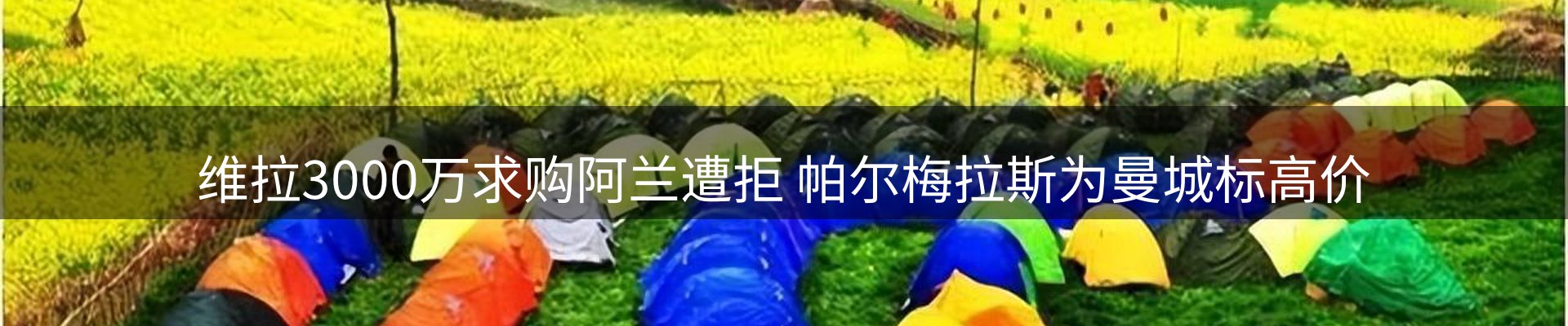 新闻动态