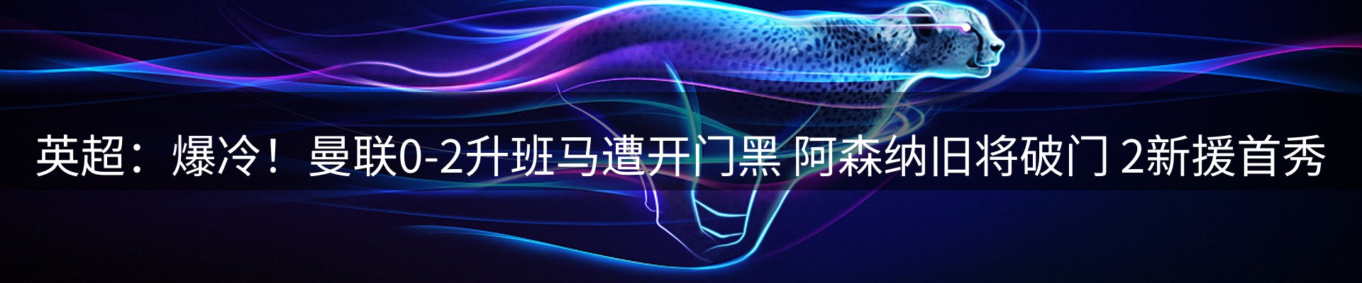 新闻动态