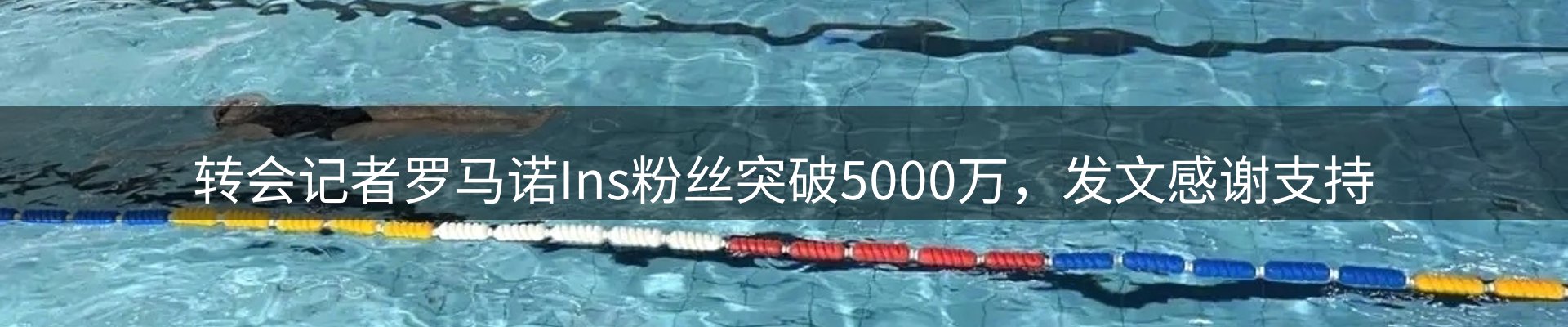 新闻焦点
